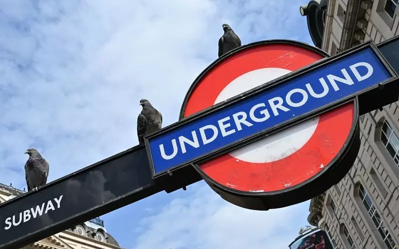 "Czerwona linia" londyńskiego metra może być przedłużona do Essex