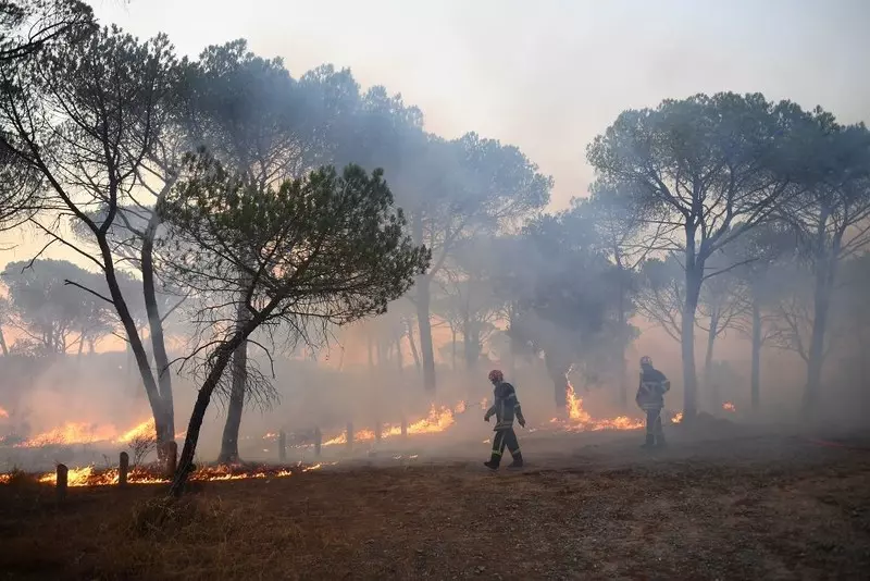 Francja: Trwa gaszenie pożarów na Lazurowym Wybrzeżu