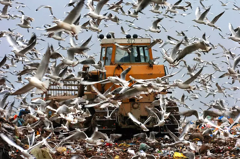 Serbia zamyka największe wysypisko śmieci w Europie