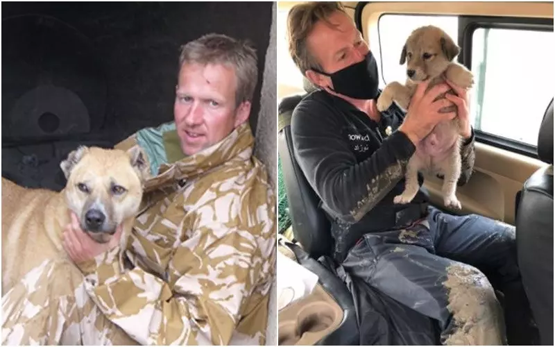 Afganistan: Były brytyjski żołnierz nie zdołał ewakuować zwierząt ze swojego schroniska