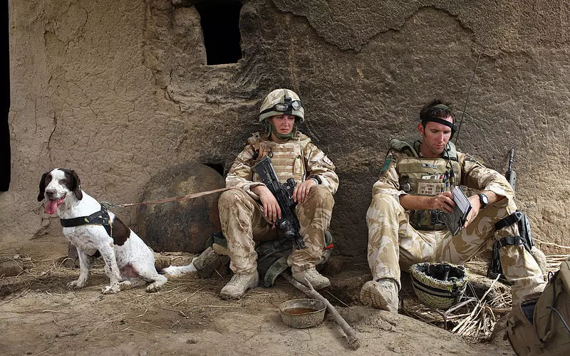 Czy doszło do samobójstw wśród brytyjskich weteranów po wycofaniu wojsk z Afganistanu?
