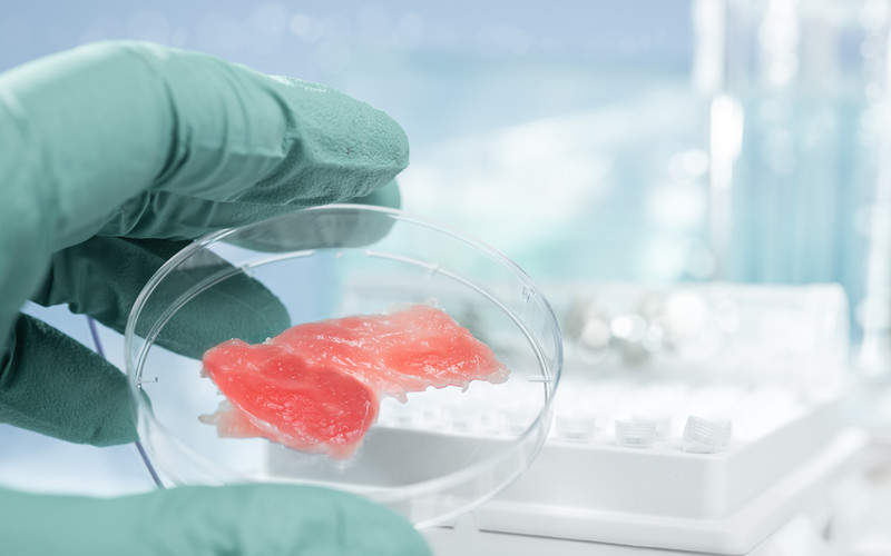 Na rynku pojawią się wkrótce owoce morza i ryby hodowane komórkowo 