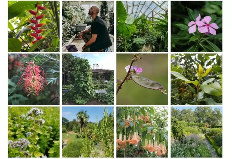 Londyn: Królewskie ogrody Kew Gardens z rekordem Guinnessa