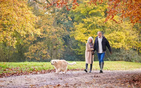 Quarter of Norfolk adults walked less than once a month in 2020