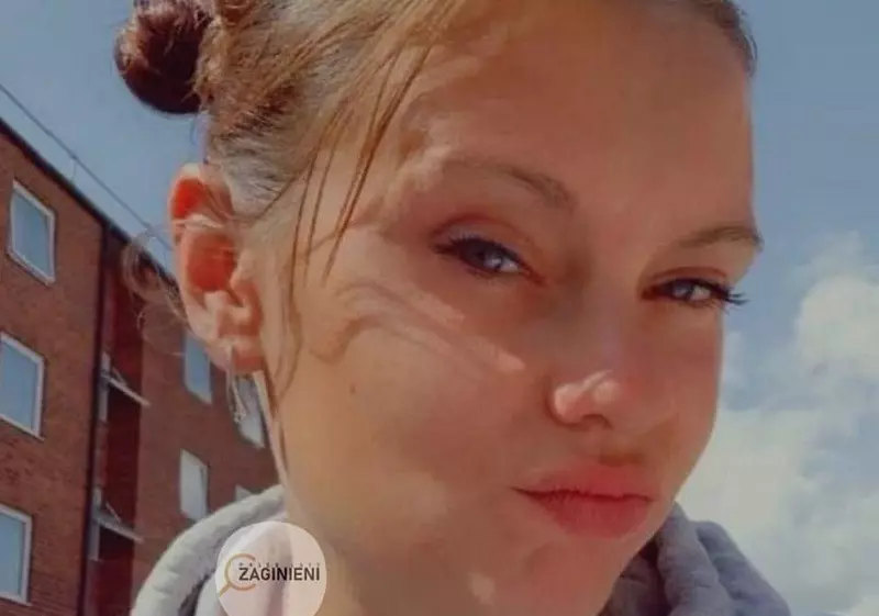 Sweden: Search for a missing Polish woman suspended