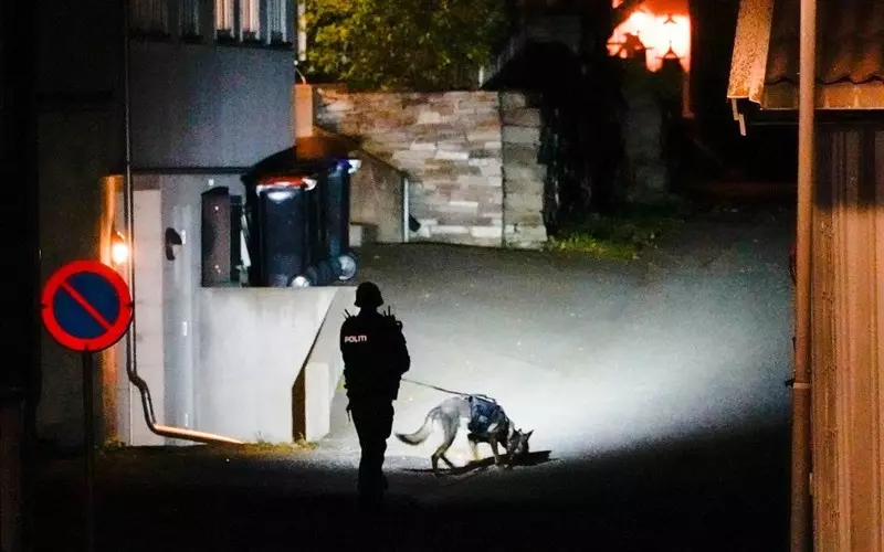 Norway: Perpetrator of Kongsberg attack provisionally arrested