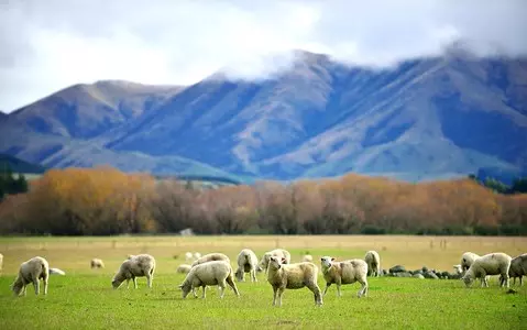 UK agrees free trade deal with New Zealand