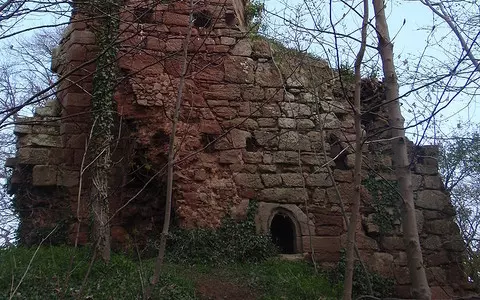 Castle ruin closed to public after ‘substantial theft’ of stone