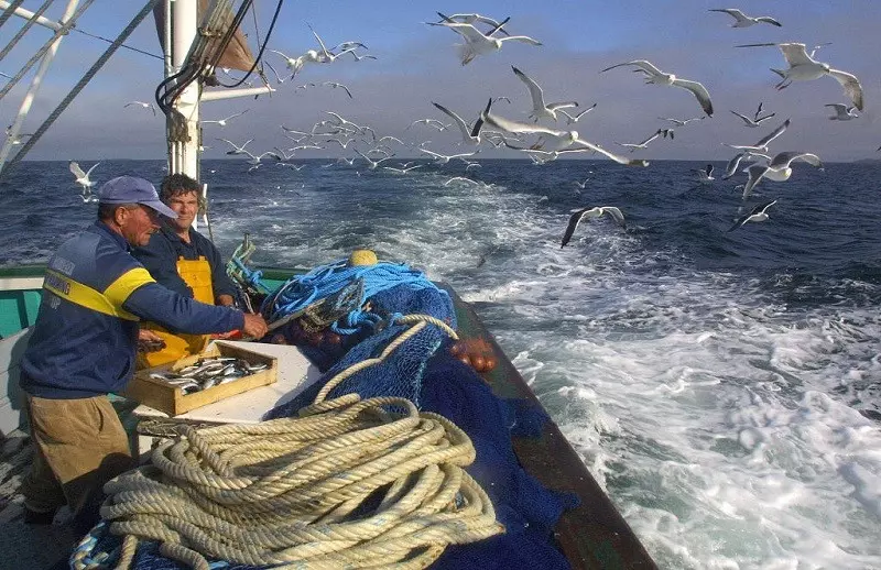 Premier Francji: "Brytyjczycy muszą respektować swoje zobowiązania" ws. połowów ryb