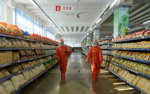 North Korea: Coupons instead of money, food shortages and black swans bred for meat