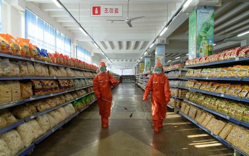 North Korea: Coupons instead of money, food shortages and black swans bred for meat