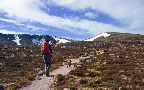 UK's 'longest-lasting' snow patch melts away