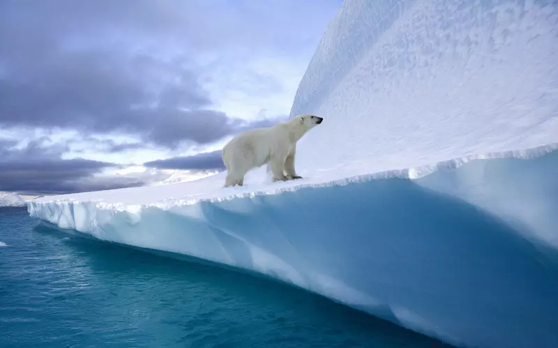 W dekadę stopniało 3,5 bln ton pokrywy lodowej Grenlandii