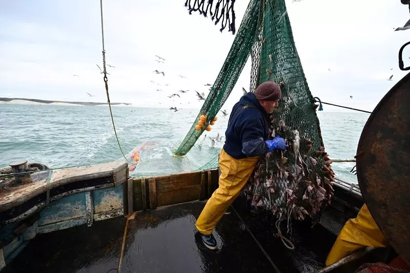Wojna o połowy ryb. Bez przełomu w rozmowach UK z Francją
