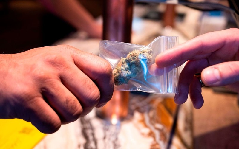 Netherlands: A pilot program to sell soft drugs to take away has started