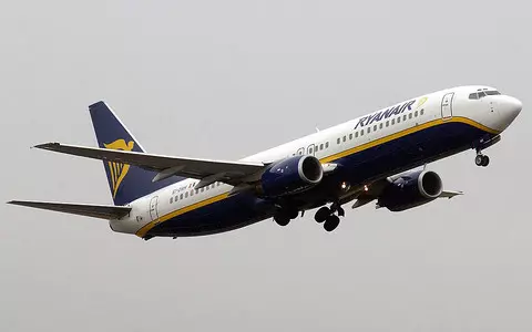 Bird strike horror: fire shoots from Ryanair plane as it hits flock of herons