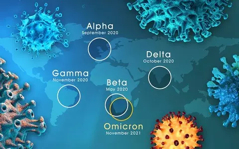 Omicron may be more infectious, but milder than other Covid-19 variants and similar to the flu