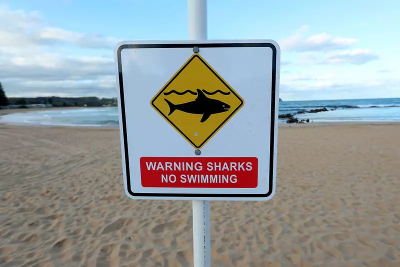 Australia: Dwoje nastolatków przeżyło atak rekina
