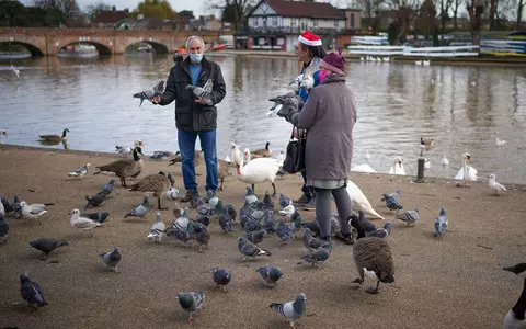 British minister: We are experiencing the worst bird flu outbreak in history