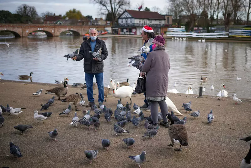 Brytyjski minister: Doświadczamy najgorszej epidemii ptasiej grypy w historii