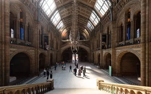 Natural History Museum in London: digitising collections would give the economy billions