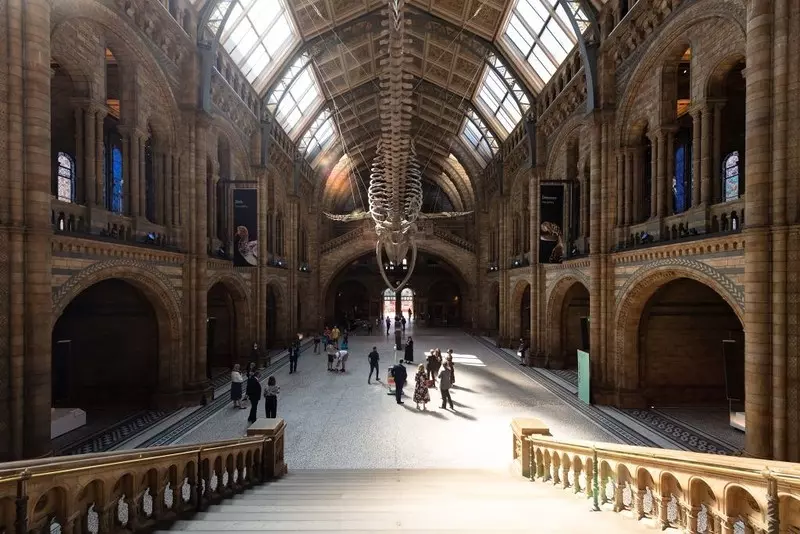 Muzeum Historii Naturalnej w Londynie: Digitalizacja zbiorów dałaby gospodarce miliardy