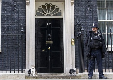 Cameron odchodzi z Downing Street. Kot Larry pozostaje