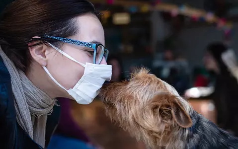 Study: Dog owners are better mentally in a pandemic