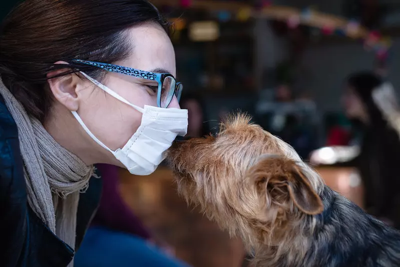 Study: Dog owners are better mentally in a pandemic