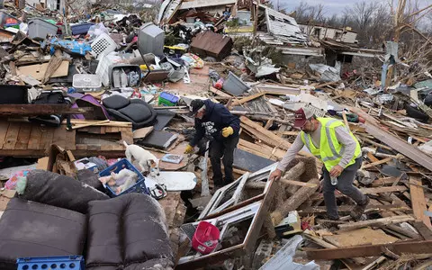 USA: The cat survived nine days in the rubble under the building after a tornado went through