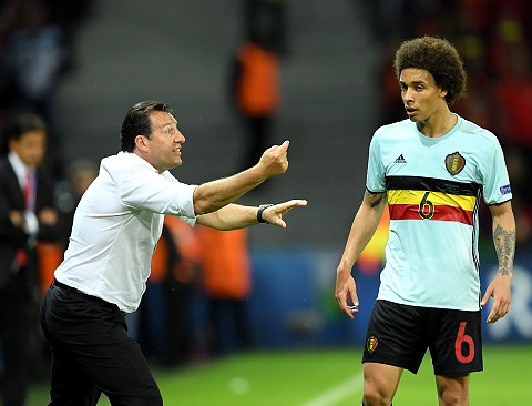 Marc Wilmots leaves post as Belgium manager after Euro 2016 defeat