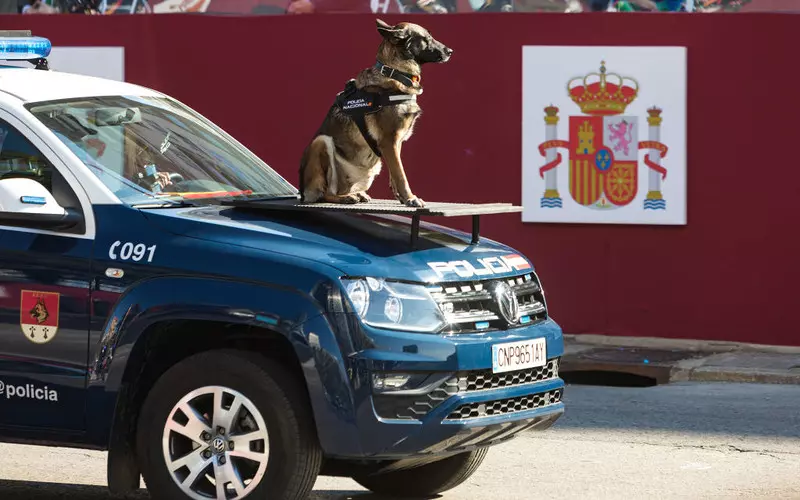 Spain: Pets become legal members of the family