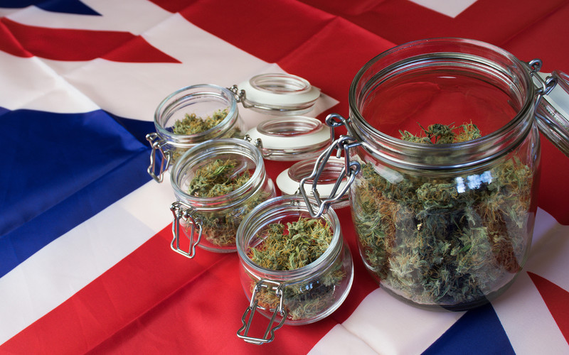 During the lockdown, cannabis farms increased