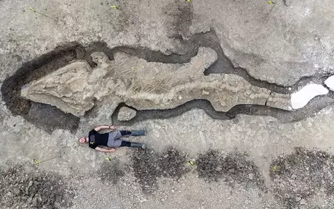 Ichthyosaur: Huge fossilised ‘sea dragon’ found in Rutland reservoir