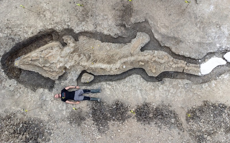 Ichthyosaur: Huge fossilised ‘sea dragon’ found in Rutland reservoir