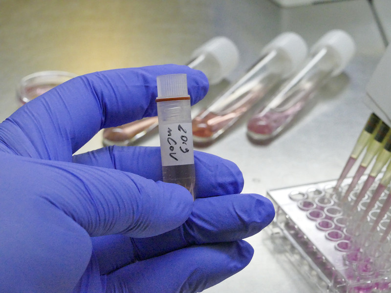Polish Ministry of Health: Almost 8 out of 10 deaths are unvaccinated