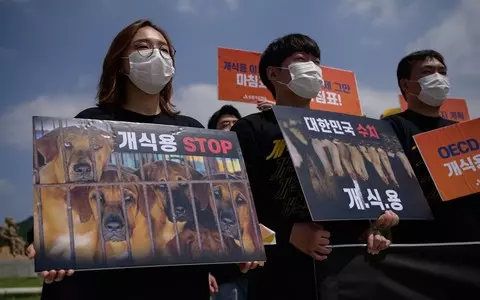 South Korea: Draft resolution to ban eating dog meat in Seoul