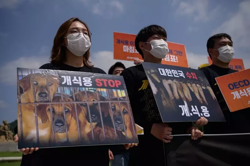 Korea Płd.: Projekt uchwały dotyczącej zakazu jedzenia mięsa psów w Seulu