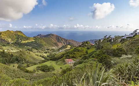 The world's oldest animal is 190 years old and lives on St. Helena Island