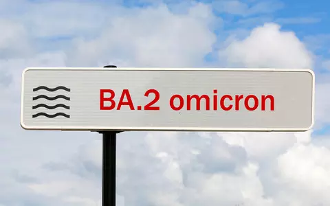 WHO: Omicron BA.2 subvariant detected in five African countries