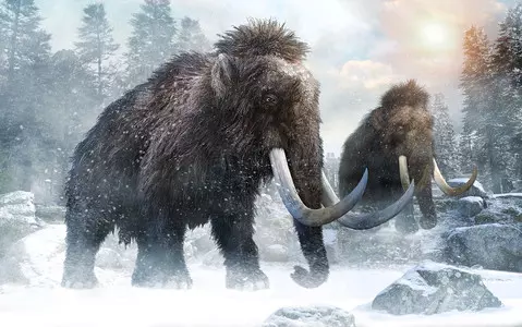 Woolly mammoth and other Ice Age remains found in Devon