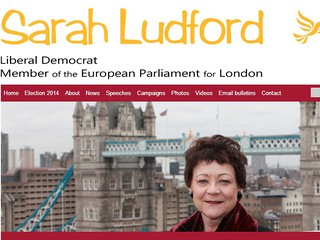 WYBORY 2014: Brytyjska europosłanka zachęca Polaków do głosowania