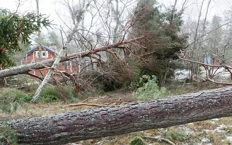 Storms kill four in Poland as strong winds pummel central Europe