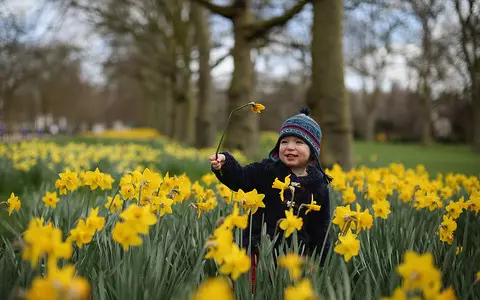 London weather forecast: Return of ‘spring-like’ conditions next week to the capital