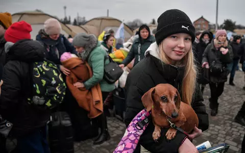 Nearly 75% of Poles involved in helping refugees from Ukraine