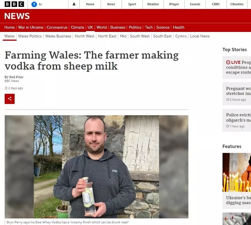 BBC: Rolnik z Walii wytwarza alkohol z owczego mleka