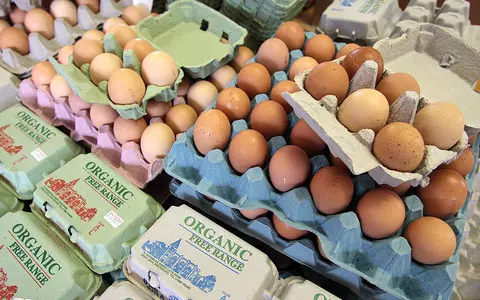 Free-range eggs unavailable in Britain from Monday