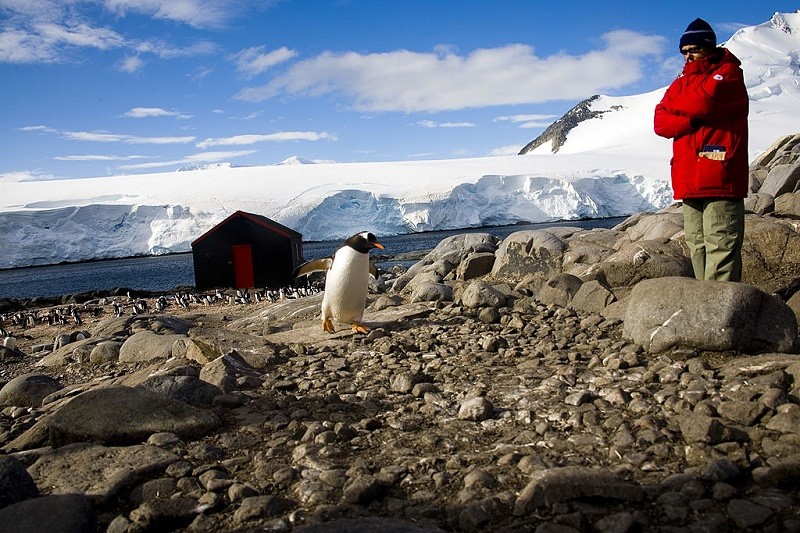 British charity hunts for team to run Antarctica post office 