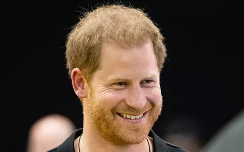 Prince Harry says he is making sure the Queen is protected