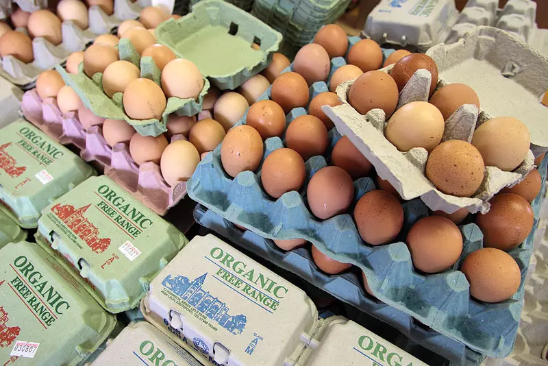 UK: Przywrócenie do sprzedaży jaj z chowu na wolnym wybiegu po zmniejszeniu zagrożenia ptasią grypą
